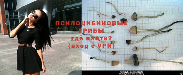 spice Осинники