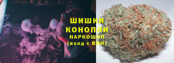spice Осинники